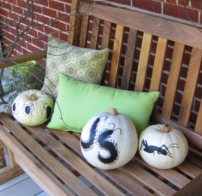 DIY: Puffy Paint Pumpkins  Fun halloween decor, Painted pumpkins,  Halloween diy crafts