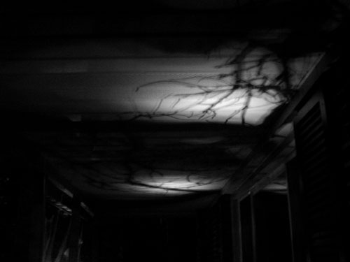 Halloween Porch Shadows