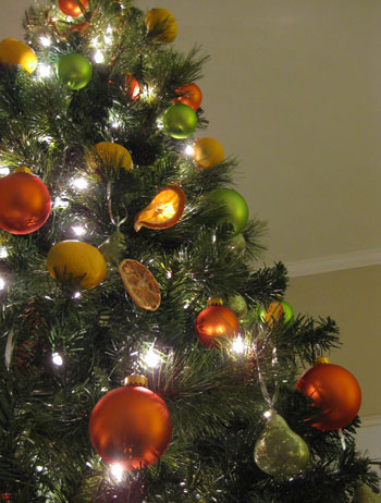 Christmas Tree Cirtus