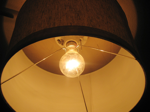 Basement Bulb Detail