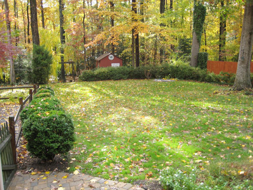Seasons Backyard Fall