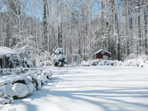 Seasons Backyard Winter