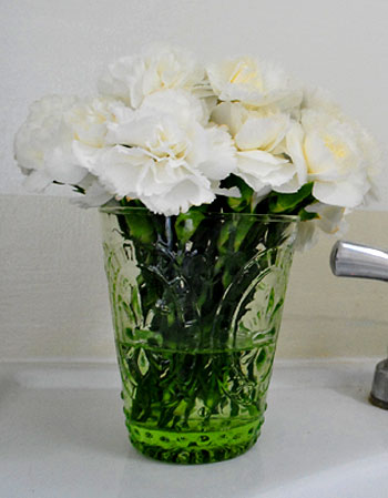 DIY Carnationsclose