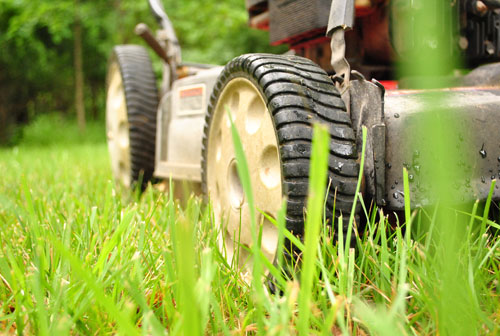 Mower Grass Close Up