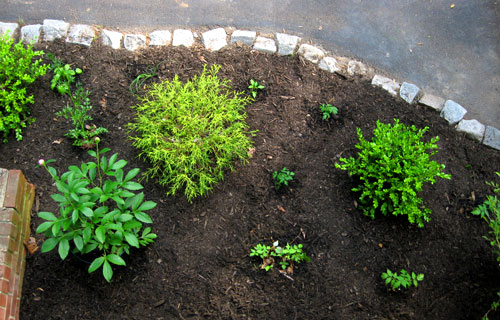 Garden From Sunroom