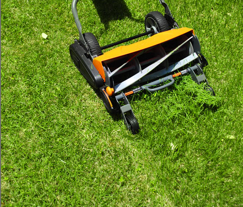 Can you cut wet grass with a reel online mower