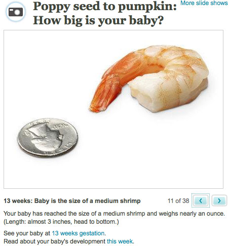 Babycenter Pic0