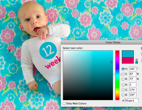 CBDay Color Picker