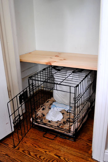 dog crate with wardrobe