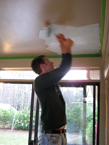 Ceiling John Painting Progr