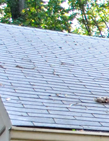 Roof Before Close Up