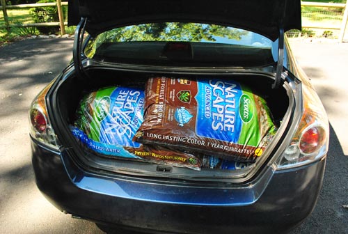 Cleaning Back Of Car