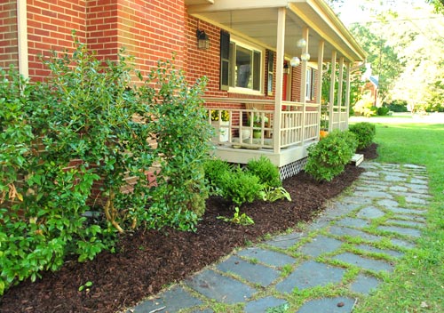 Cleaning Mulched Front