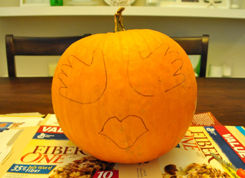 Pumpkin Hand Drawn On