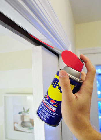 Pocket Door WD 40