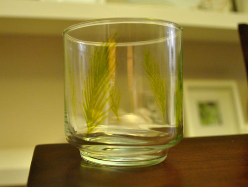 Diy Glass Tumbler Pine