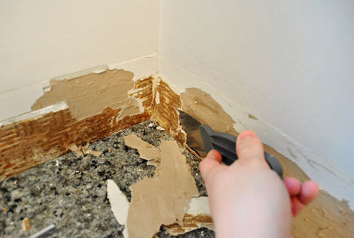 Backsplash Scraping Glue