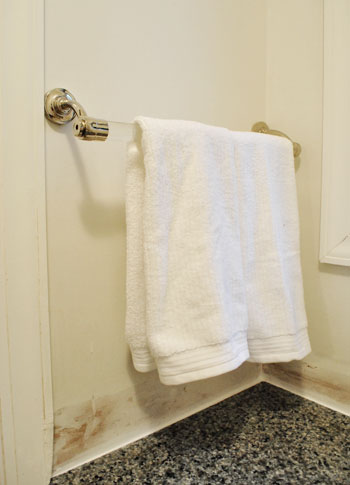 BathMirror Towel Bar