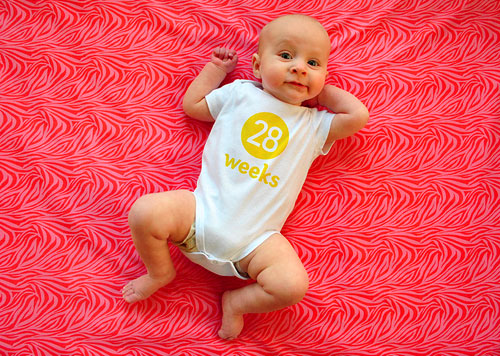 Clara Week 28