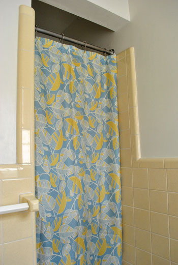 Epic Fail Young House Love, Classic Check Shower Curtain Blue