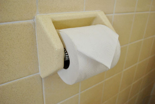 Guestbath Toilet Paper