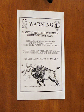 Granny Buffalo Warning