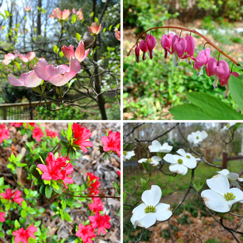 Outside Flowers Grid