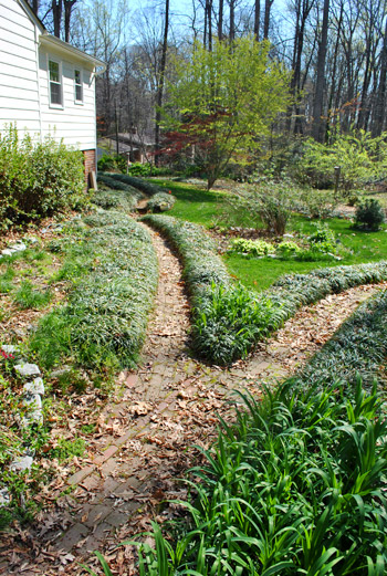 Outside Two Brick Paths