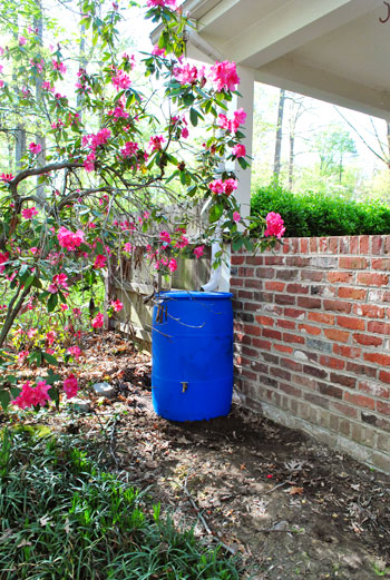 Rain Barrel After Close