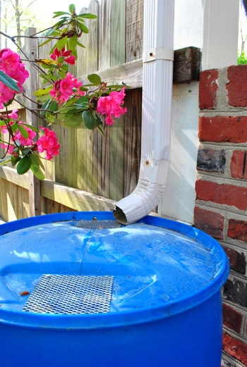 Rain Barrel Spout In