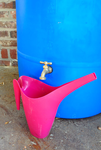 Rain Barrel Watering Can