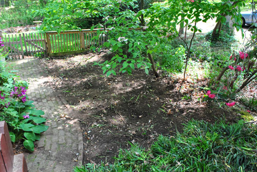 Patio Dug1