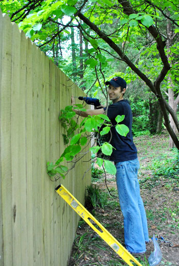 Fence Screwing Panels In