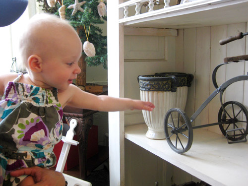 Lewes Clara Grabbing Bike