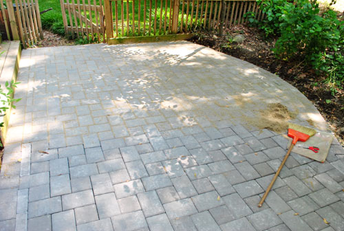 Easy Way to Clean Bird Poop Off Your Patio Pavers