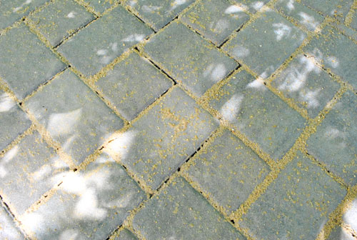 Patio Wet Sand Cracks