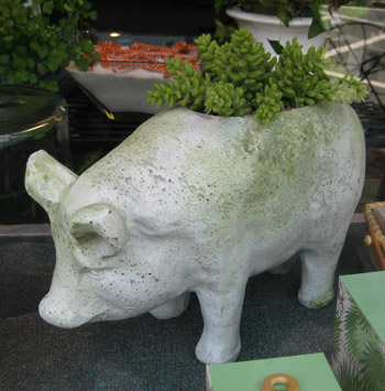 Beach Pig Planter