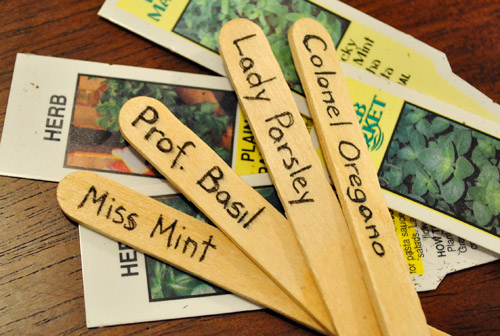 Herbs Labels Close Up