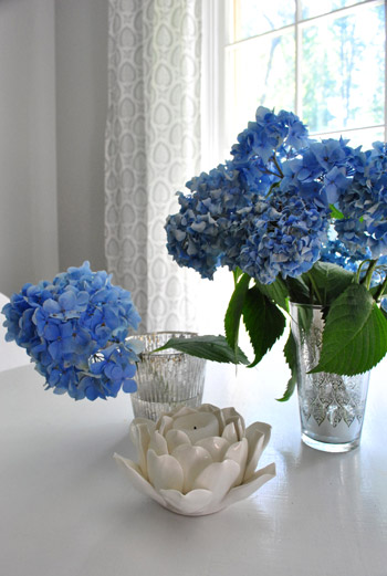 Hydrangeas Curtains