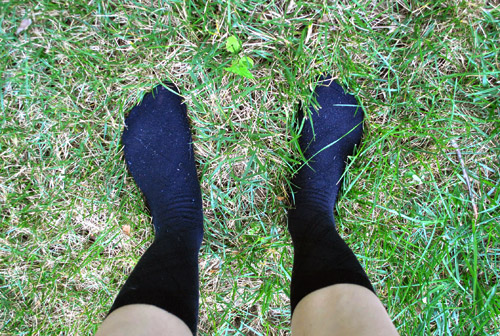 Berries Sherrys Sexy Socks