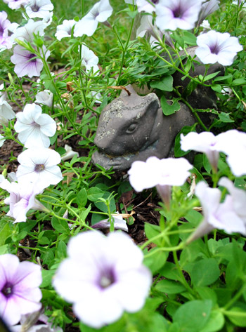 Mailbox Hidden Squirrel