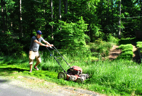 Mailbox John Mowing