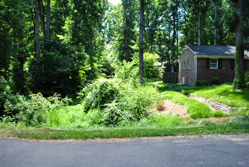 Mailbox Mowing After Straig