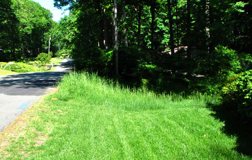 Mailbox Naturalized Cut