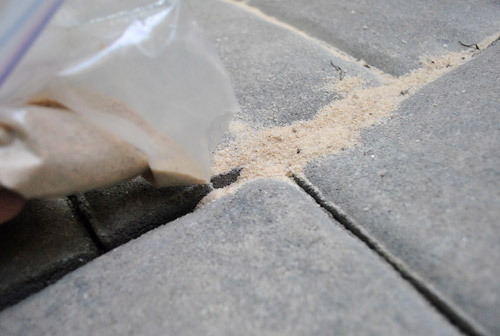 What Is Polymeric Sand? How to Use It for Paver Installation