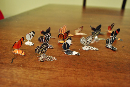 Butterflies All Folded