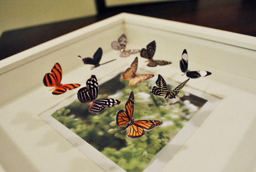 Making Faux Butterfly Art (And Checking Out Foamhenge)