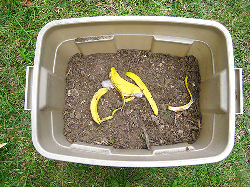 https://images.younghouselove.com/2011/08/Compost-Old-Bin.jpg