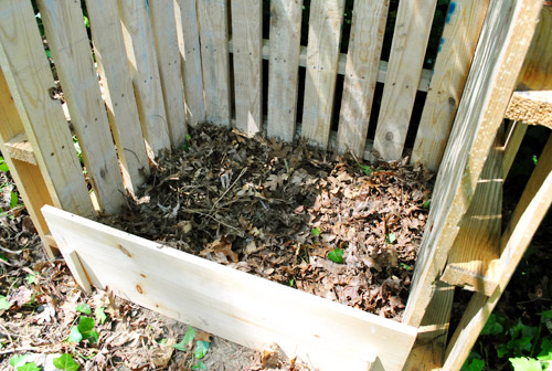 Compost Starter Leaves