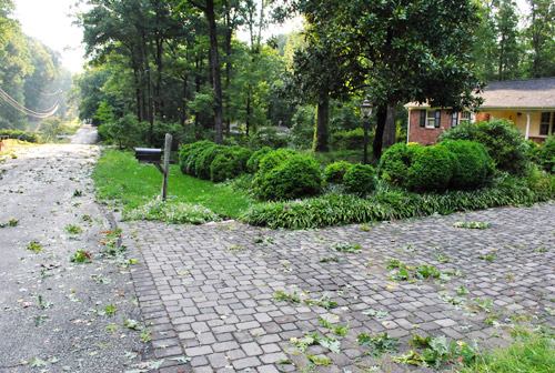 Irene Front Yard Debris